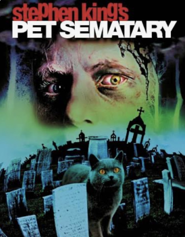 Tom Brady Clones His Beloved Dog: Meet Junie!