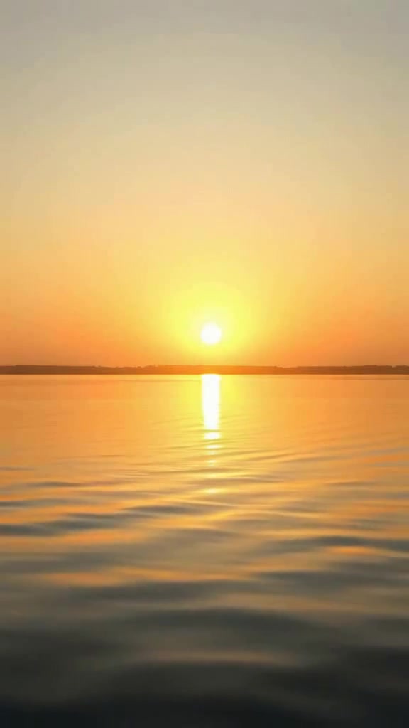 Embrace the Fragility of Life