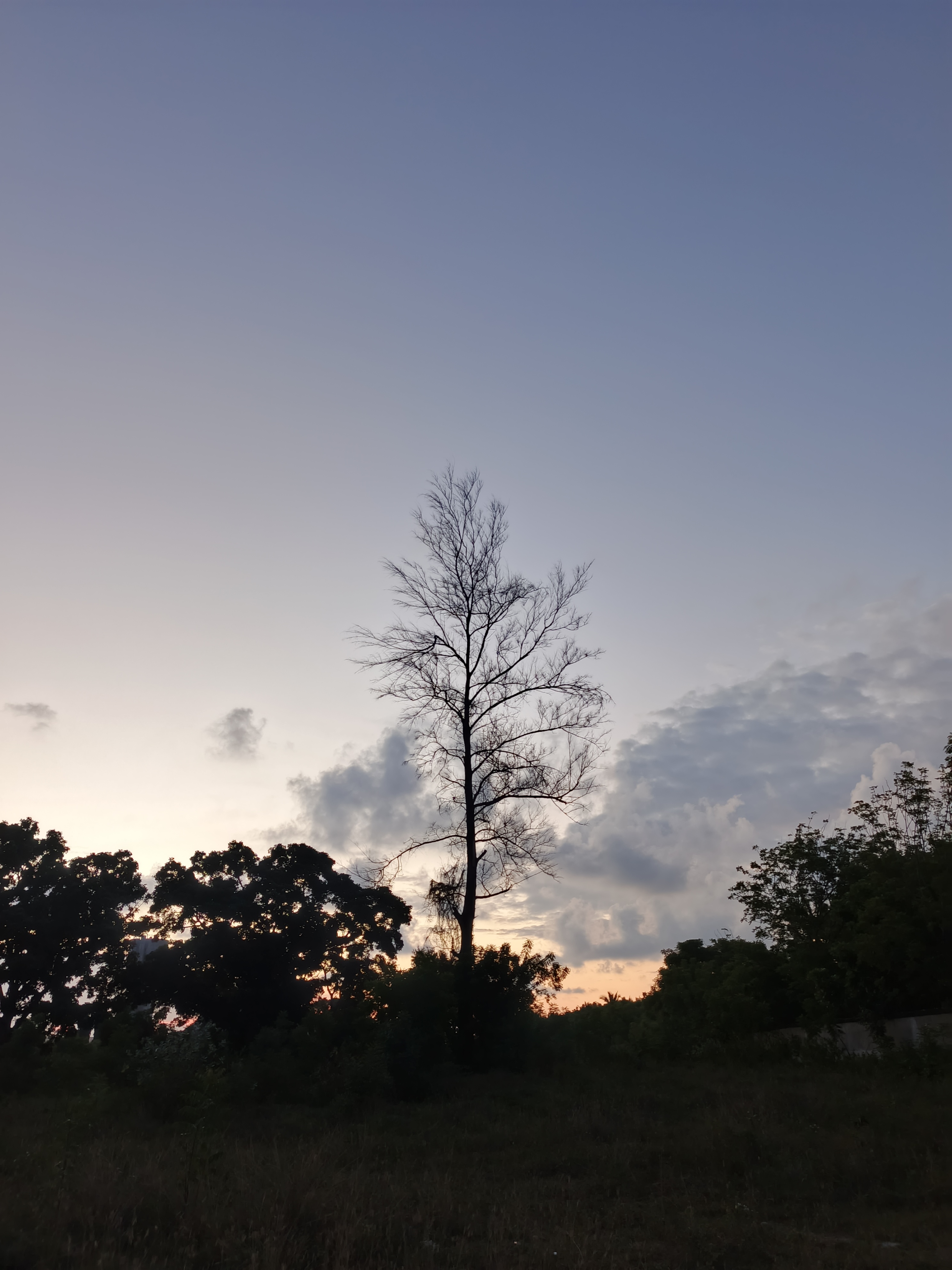 Penerapan Hukum Newton dalam Kehidupan Sehari-hari