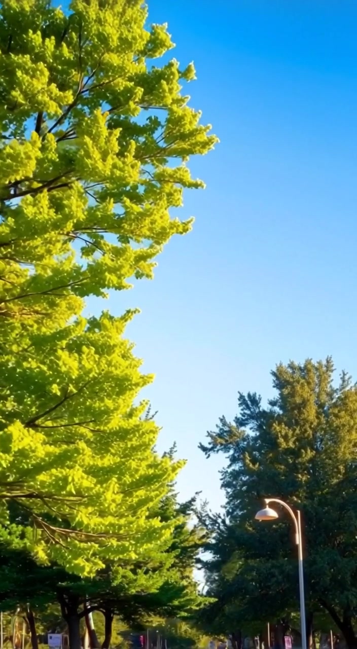 Expert Roof Inspection in Vernon Hills, IL | RoofZen Pro