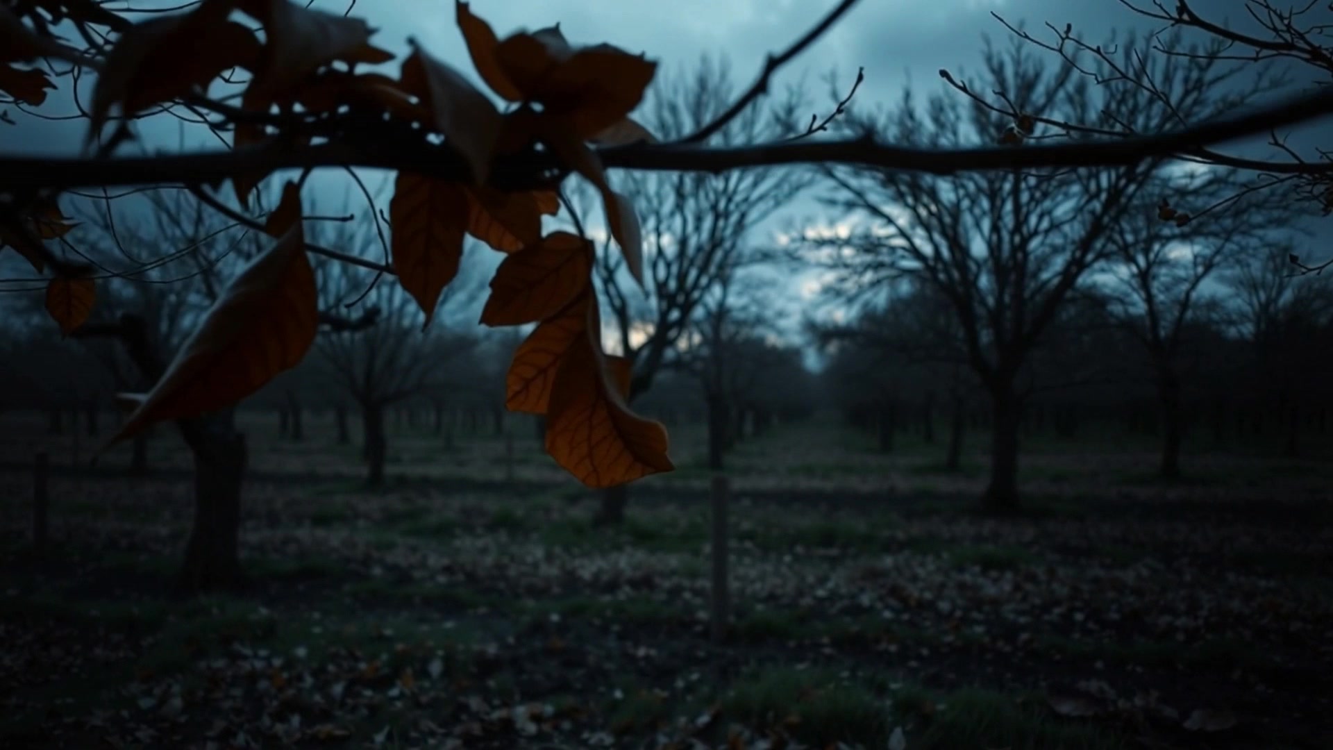 Whispers in the Cocoon