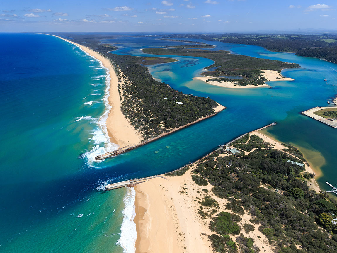 Gippsland's Bushfire Legacy: Lessons from Disaster