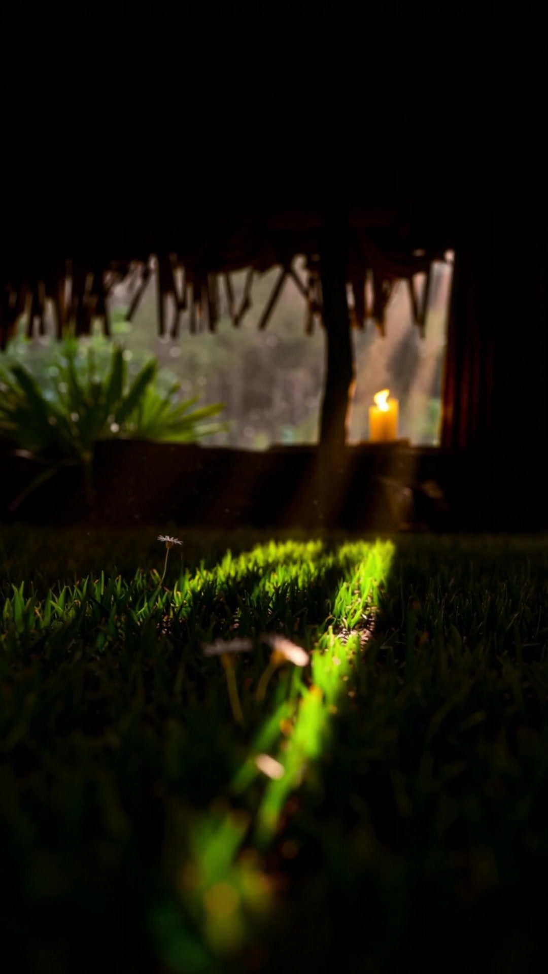 The Return of a Mother's Love