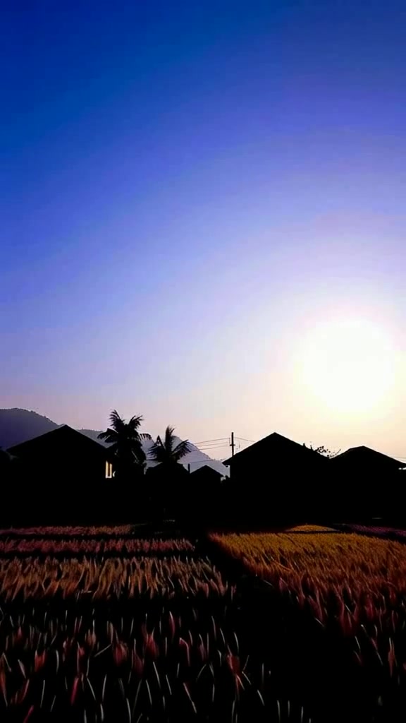 Pelajaran Hidup dari Pohon Besar