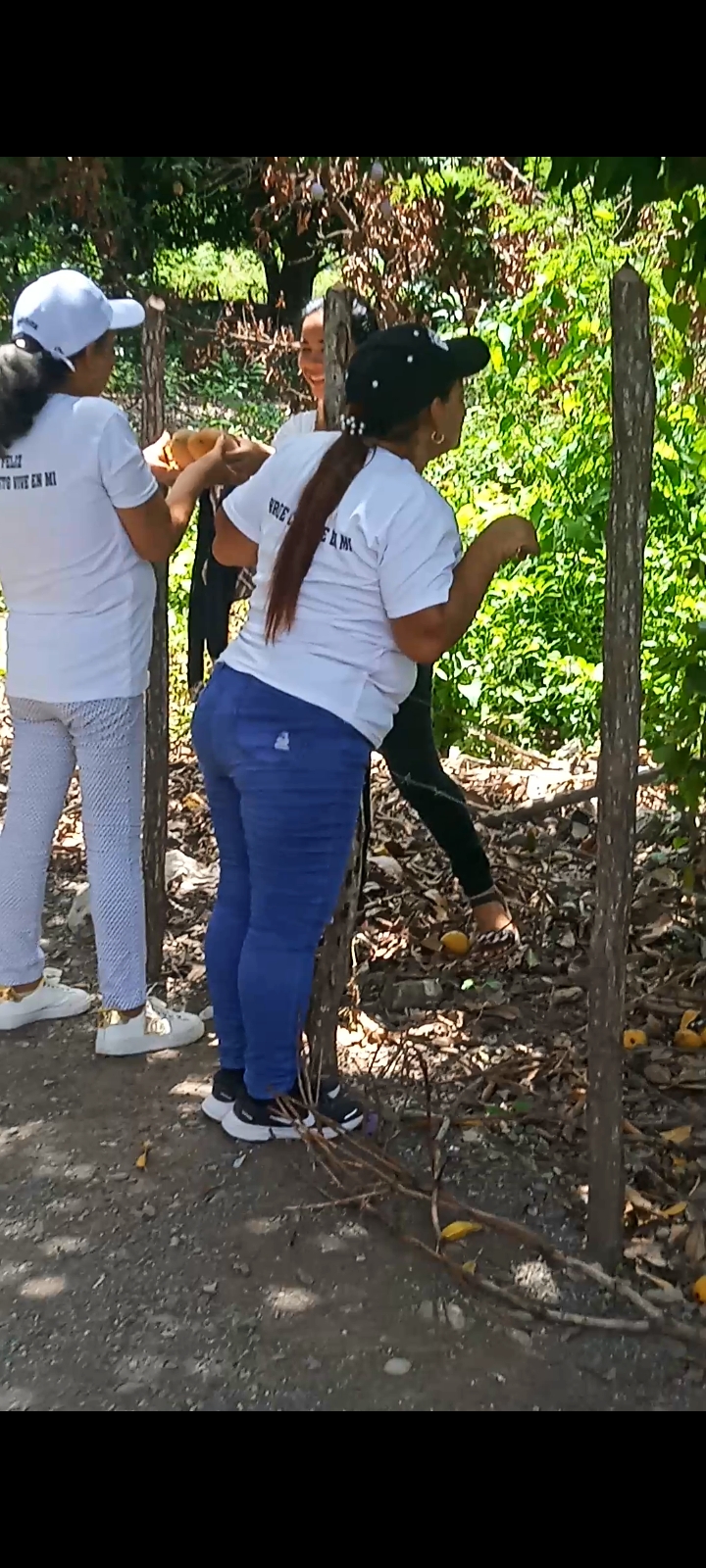 Las Danzarinas Alegres y la Aventura del Mango