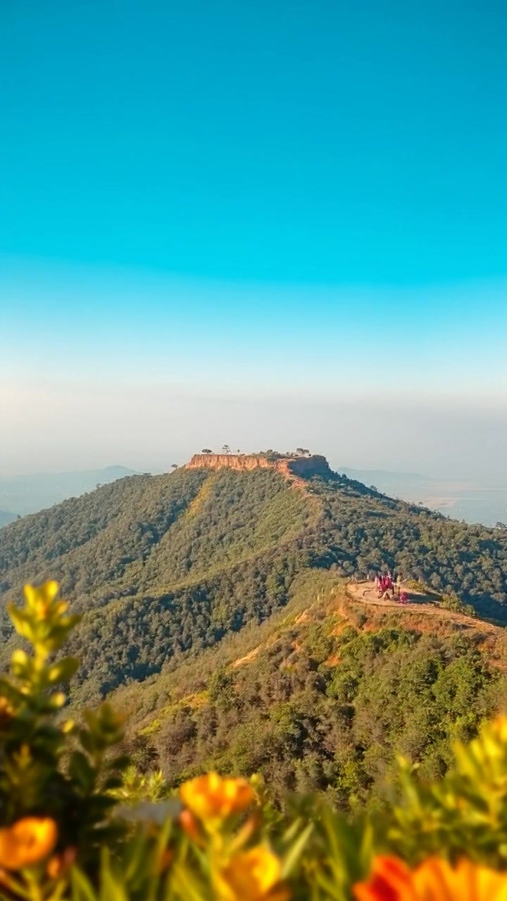 असम: संस्कृति और प्रकृति का संगम