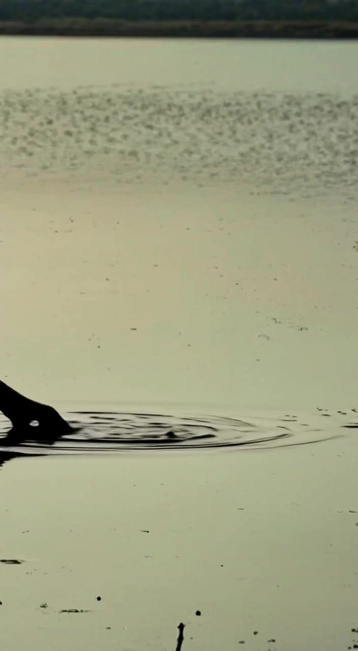 The man gently tosses a pebble into the calm lake while observing the ripples spreading across the water.