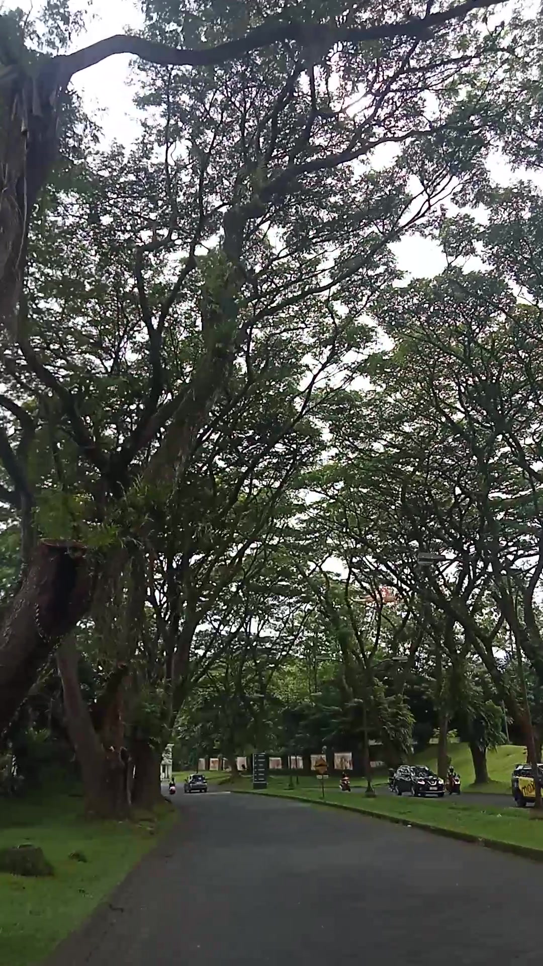 Walking in Faith Through Uncertainty