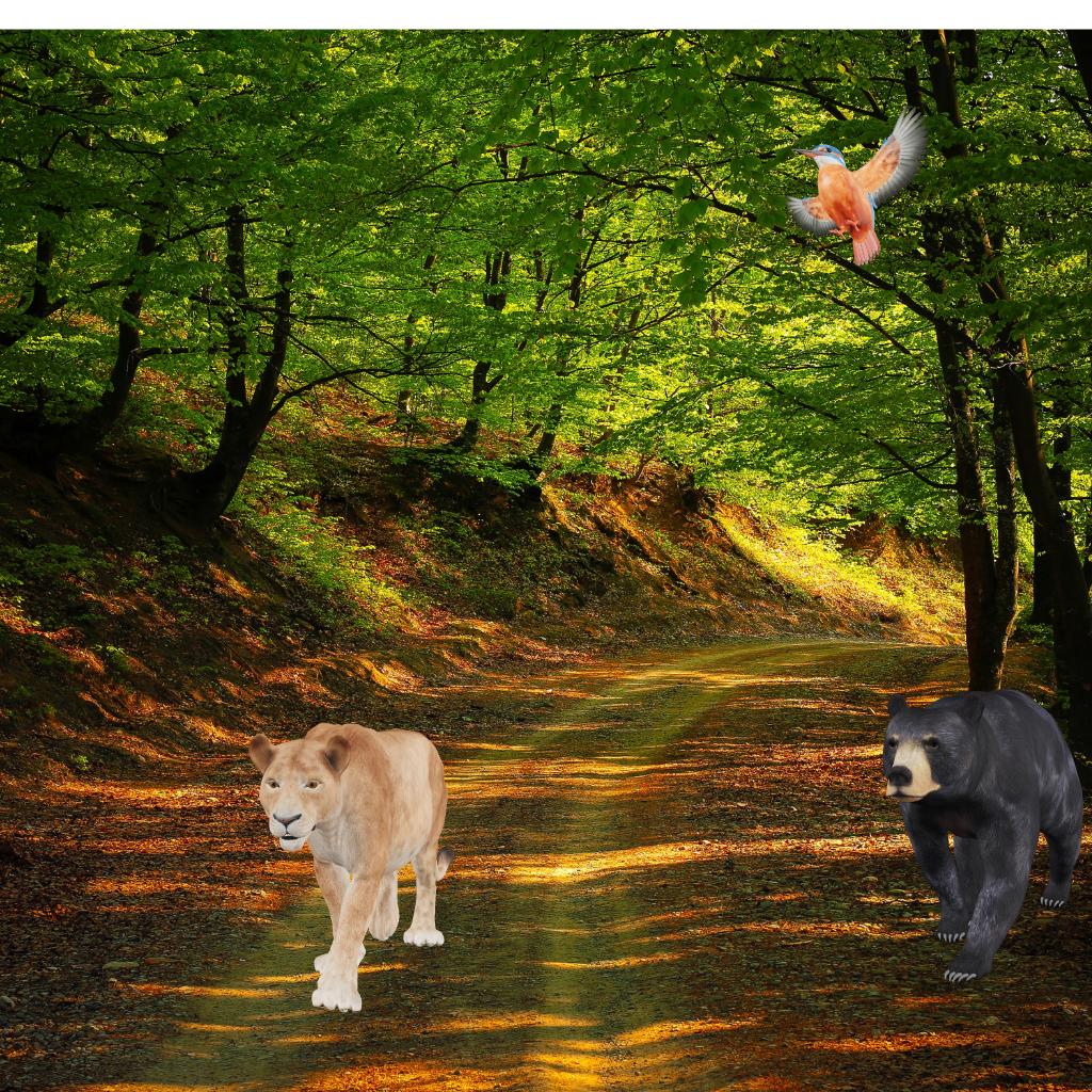 فرح الحيوانات وصيد الأرنب والغراب