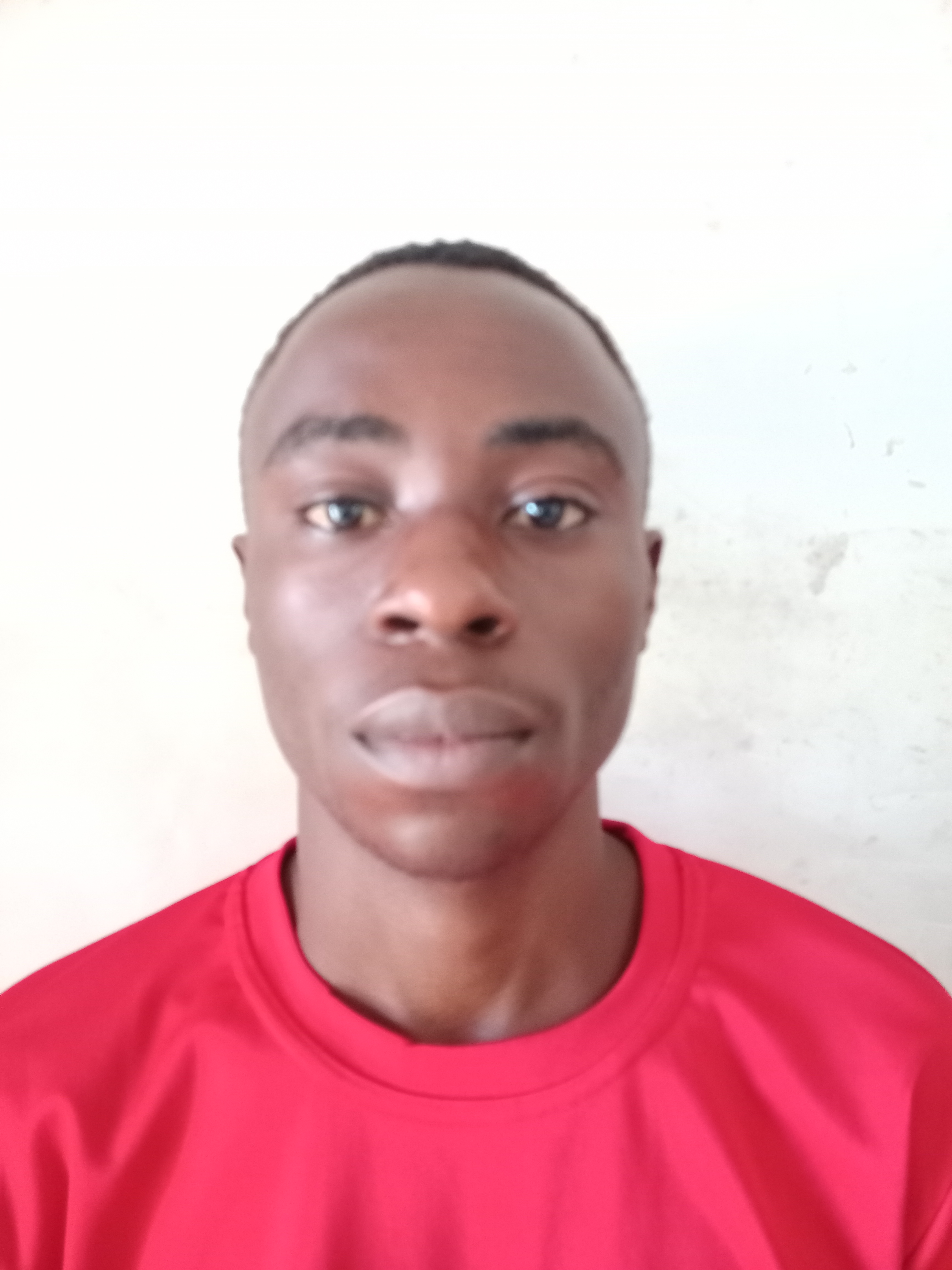 Investing for Beginners: A Guide for Americans with No Experience