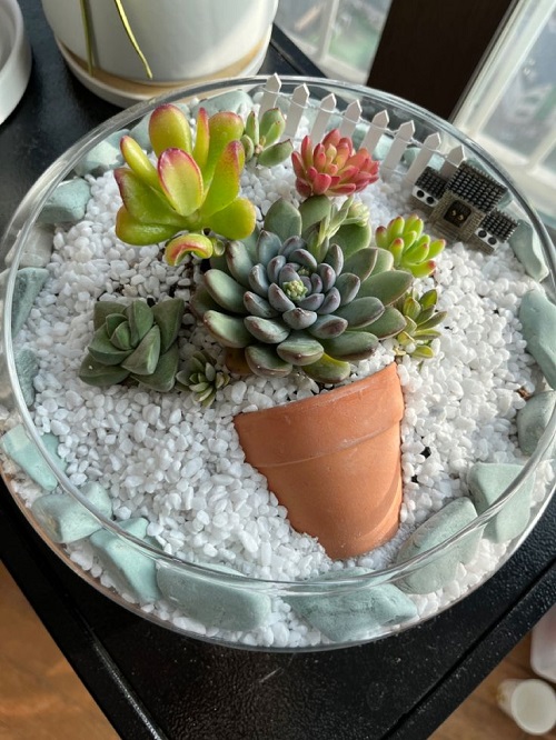 Decora bowl .mp3