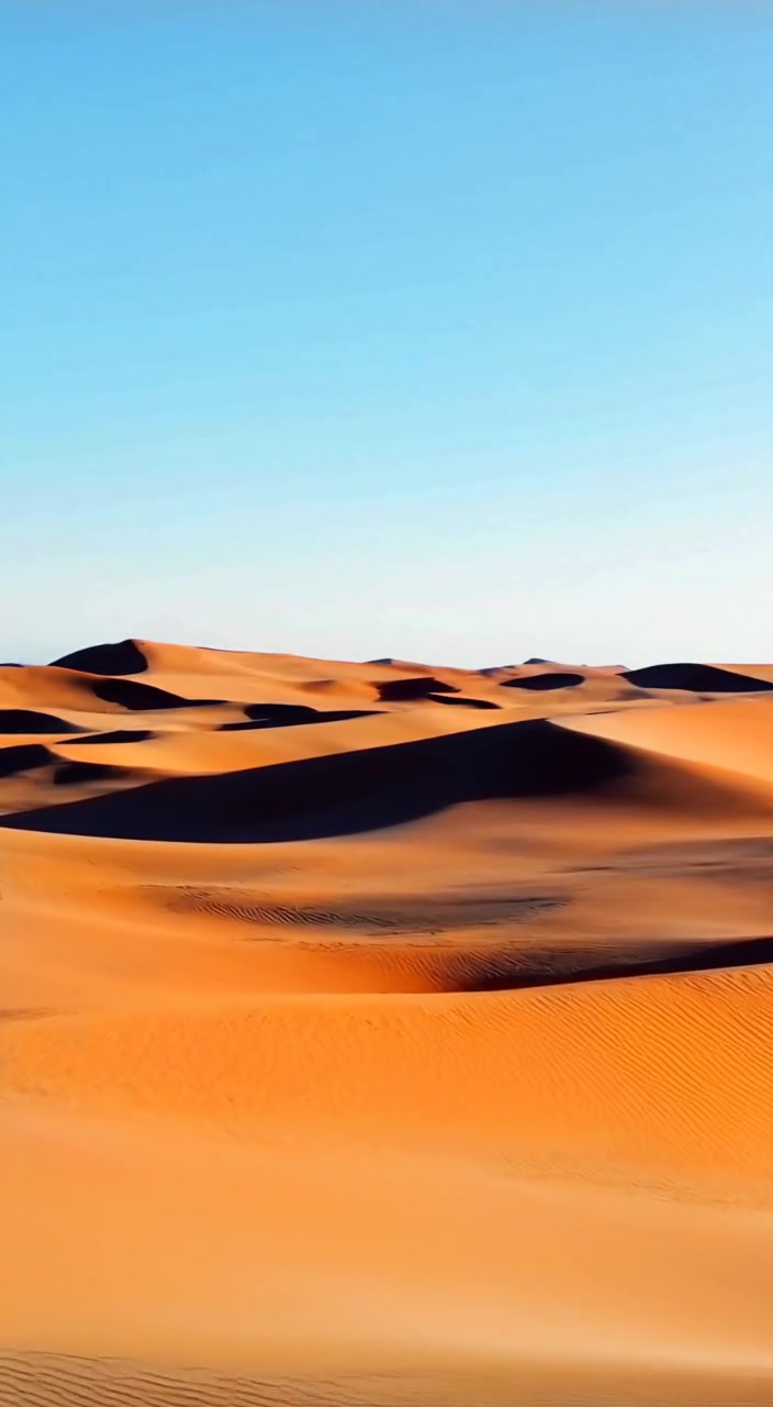 Gentle winds ripple across the golden dunes of the Thar desert under a clear blue sky.