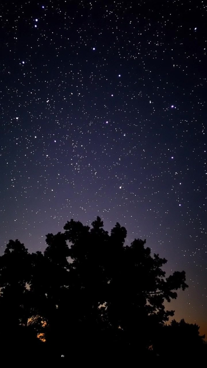 The Power of Dreams: Inspirations That Changed History