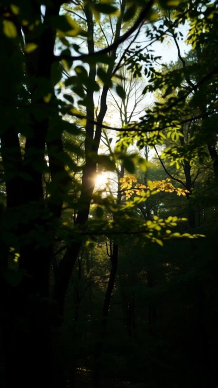 Bigfoot: Legenda atau Nyata?