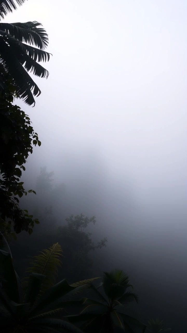 Roar of Resilience: The Tiger's Journey Through Triumph and Turmoil