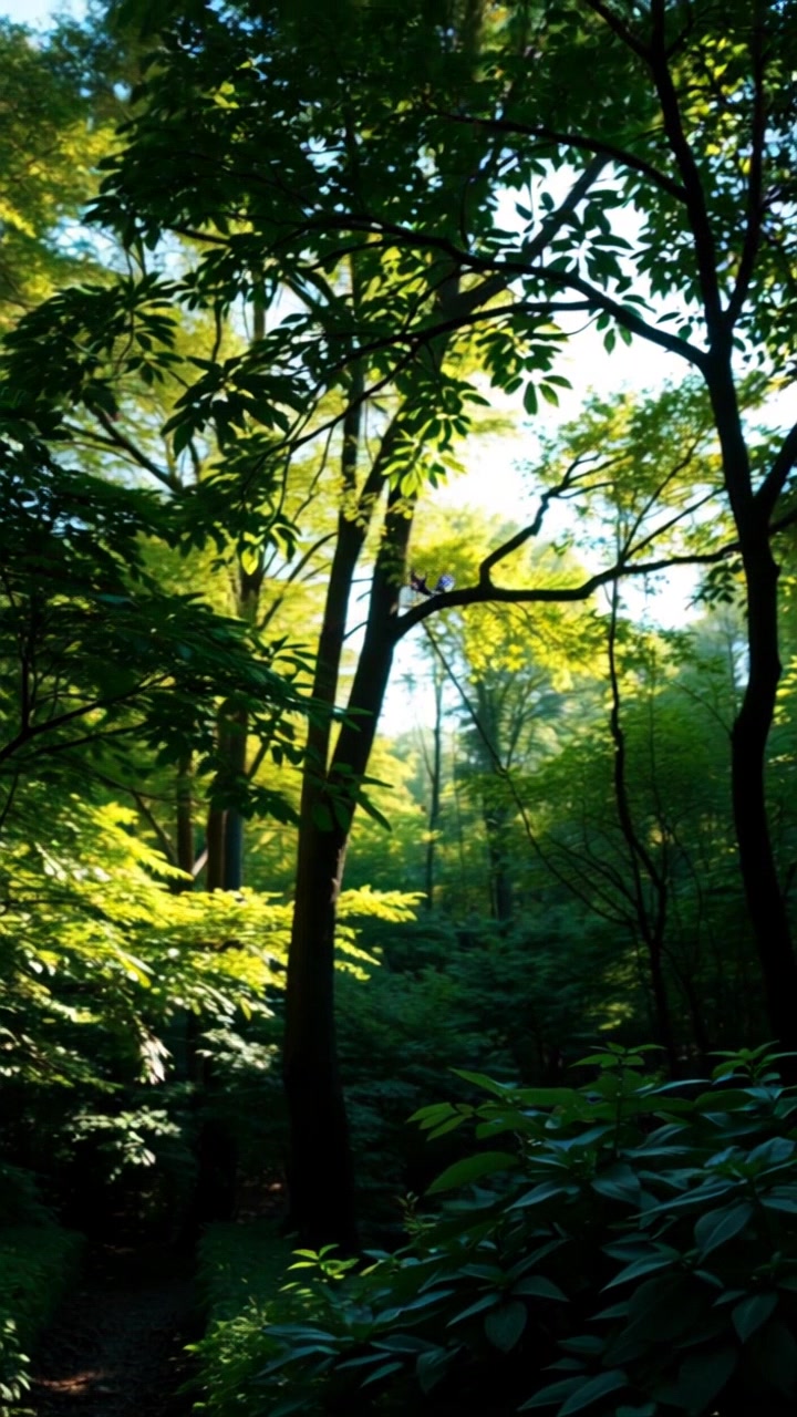Daring to Discover: Embracing the Unknown