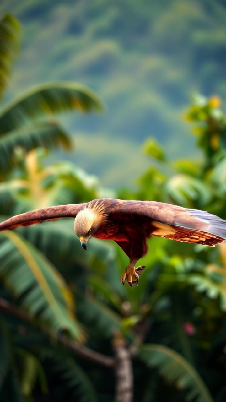 The Magnificent Philippine Eagle