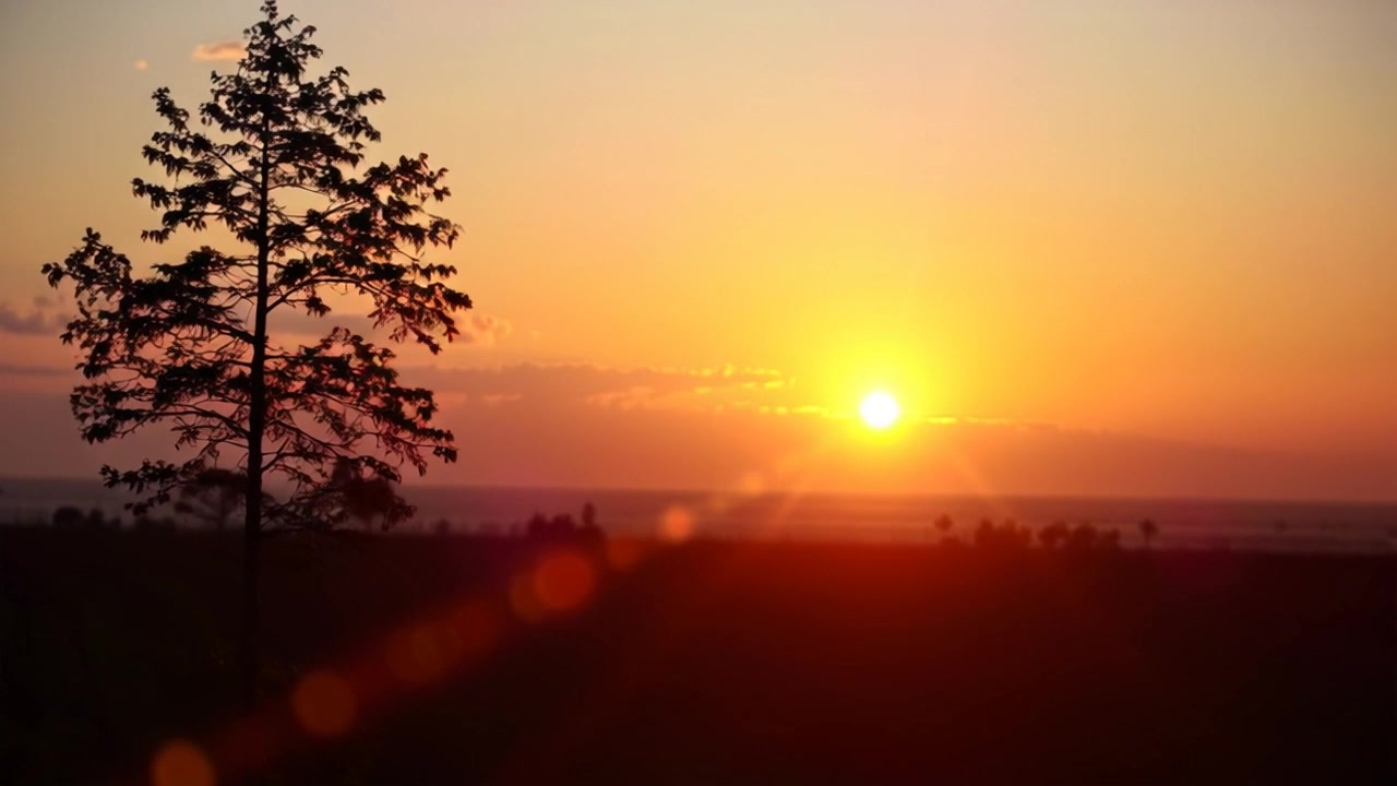 The Transformative Power of Love
