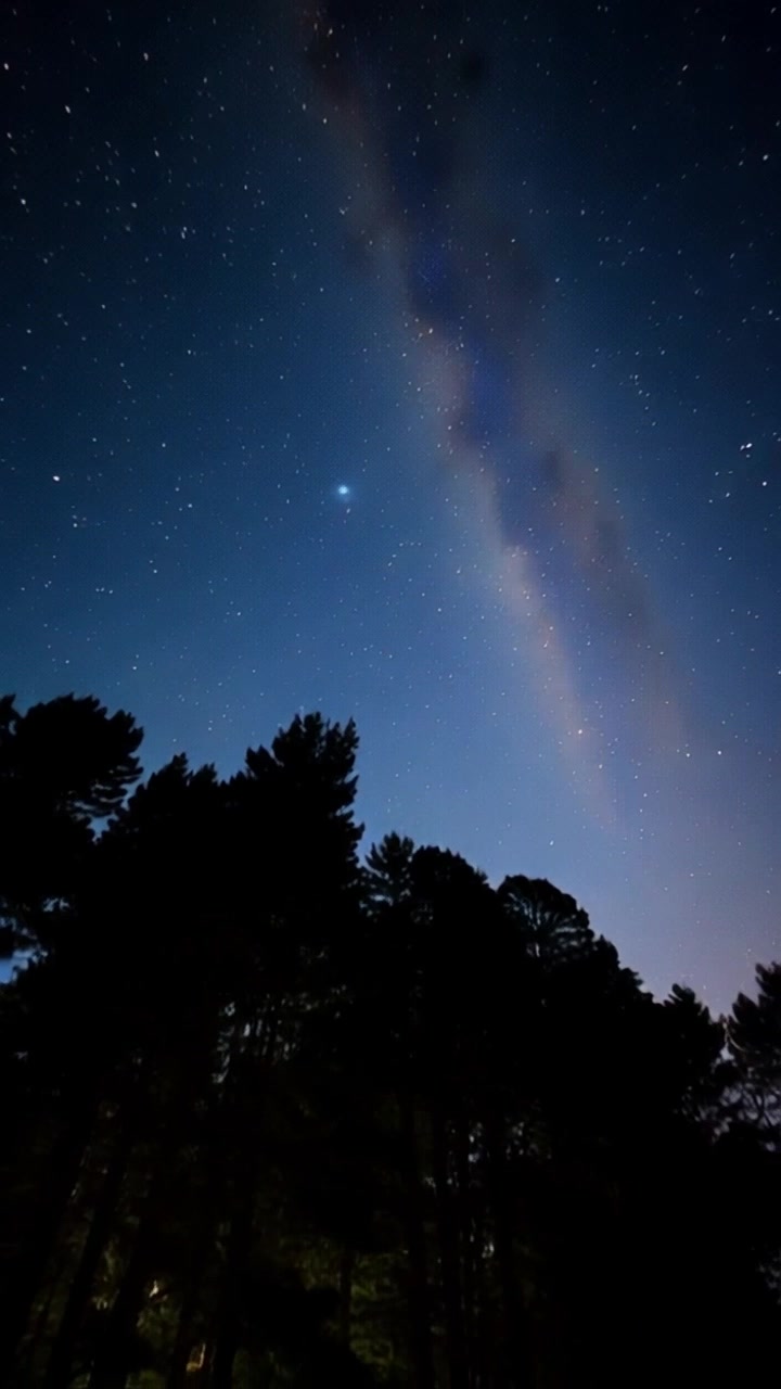 Cosmic Solipsism: Are You the Only Real Soul?