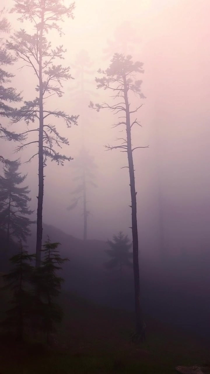 Unveiling the Invisible Realms: The Hidden Ties Between Crypto, Cosmos, and Consciousness
