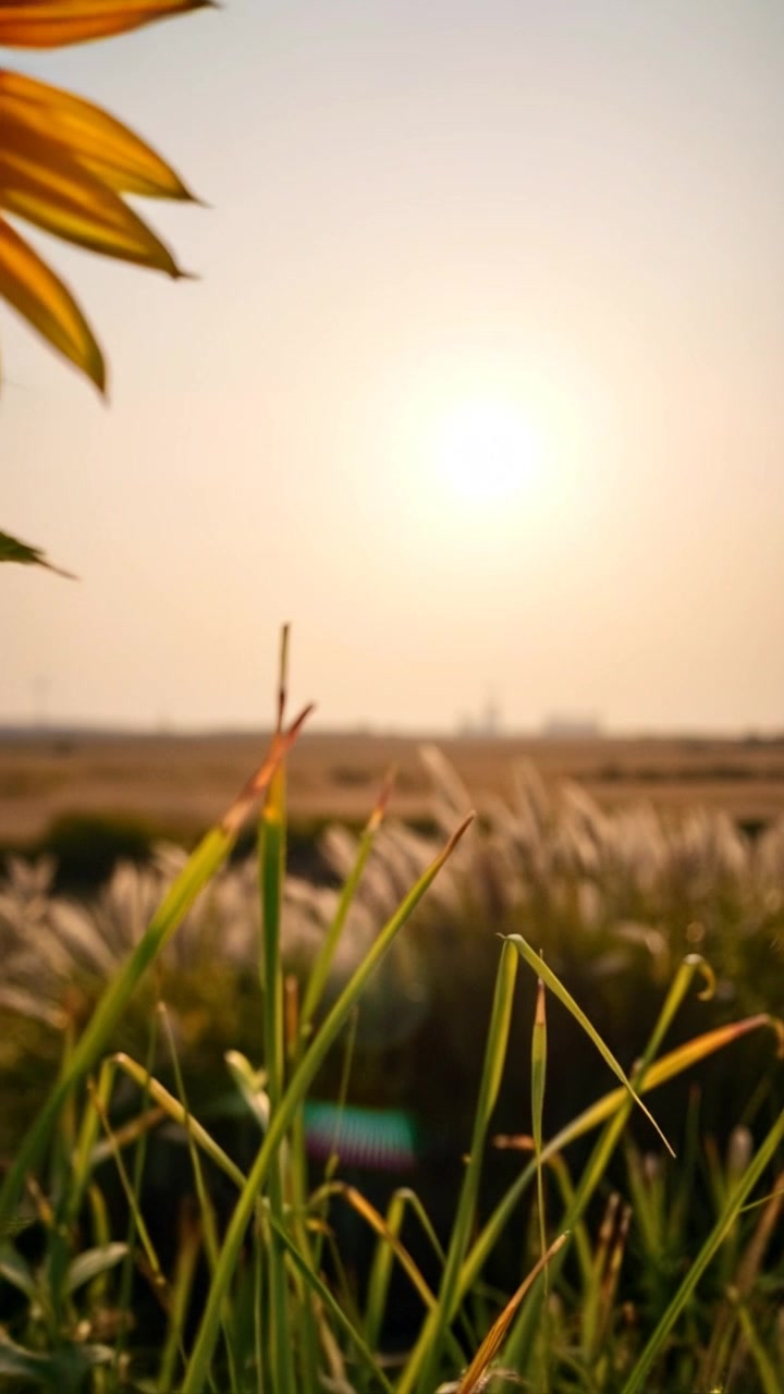 Inspiring Messages to Uplift Your Spirit