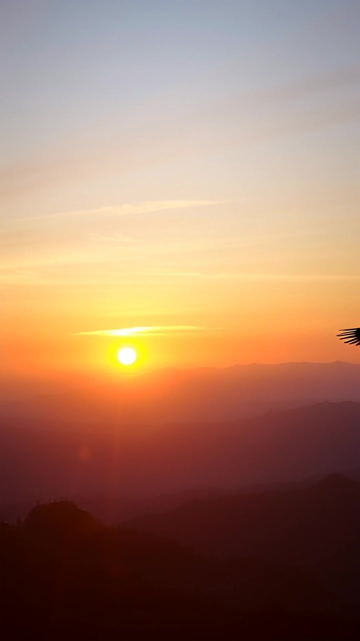 Unlocking Your Mind's Potential