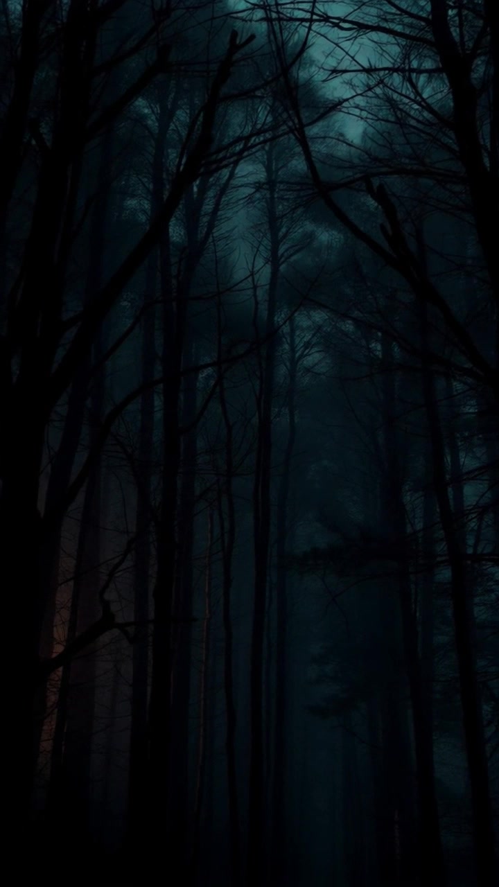 Misteri Malam: Perjalanan Van Helsing