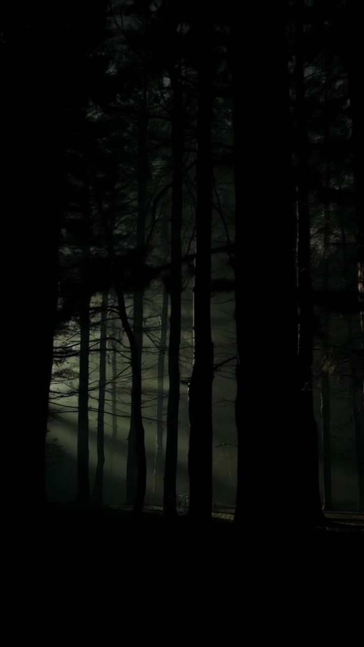 Whispers of the Forgotten Forest