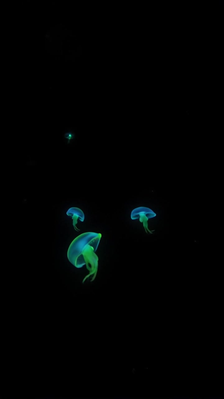 Surviving the Abyss: True Stories of Deep Sea Dives