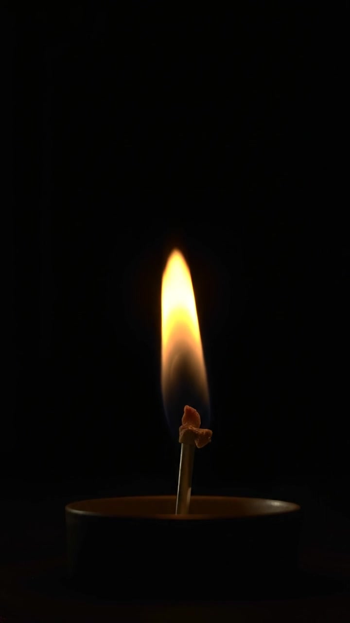 Genesis: A Spark of Creation