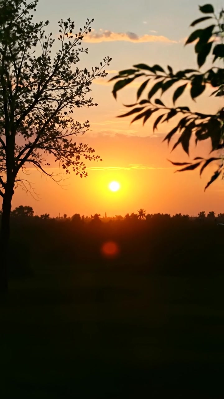 A sunset view over a peaceful park, with warm golden and orange hues illuminating lush greenery and a calm lake, captured in natural lighting with soft shadows, slow panoramic camera movement emphasizing tranquility and hope. The background features the gentle sounds of evening birds and rustling leaves.