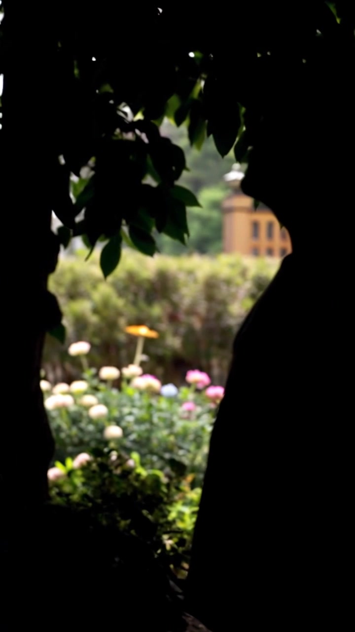 Scene: Omar stands in a lush garden, surrounded by vibrant trees and blooming flowers, basking in the tranquility of nature. Style: Soft, diffused morning light enhancing the colors of the foliage and petals, creating a serene atmosphere. Motion: The camera gently pushes in, capturing the intricate details of the garden as it flourishes around Omar, while a light breeze rustles the leaves, adding a sense of life to the scene.