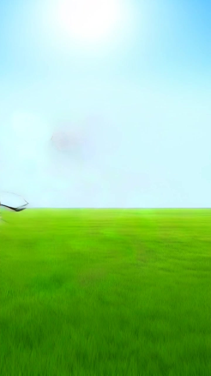 Subject: A cartoon character, resembling a clever mouse, running energetically on a vibrant green soccer field. Subject movement: The character dashes forward with excitement, chasing a soccer ball that's just ahead of him. Scene: Soccer field under a clear blue sky, highlighted by the bright sun creating a lively atmosphere. Motion: Camera tracks alongside the character's sprint, capturing the dynamic movement and emphasizing the rolling ball, with a wide-angle lens for an immersive effect.
