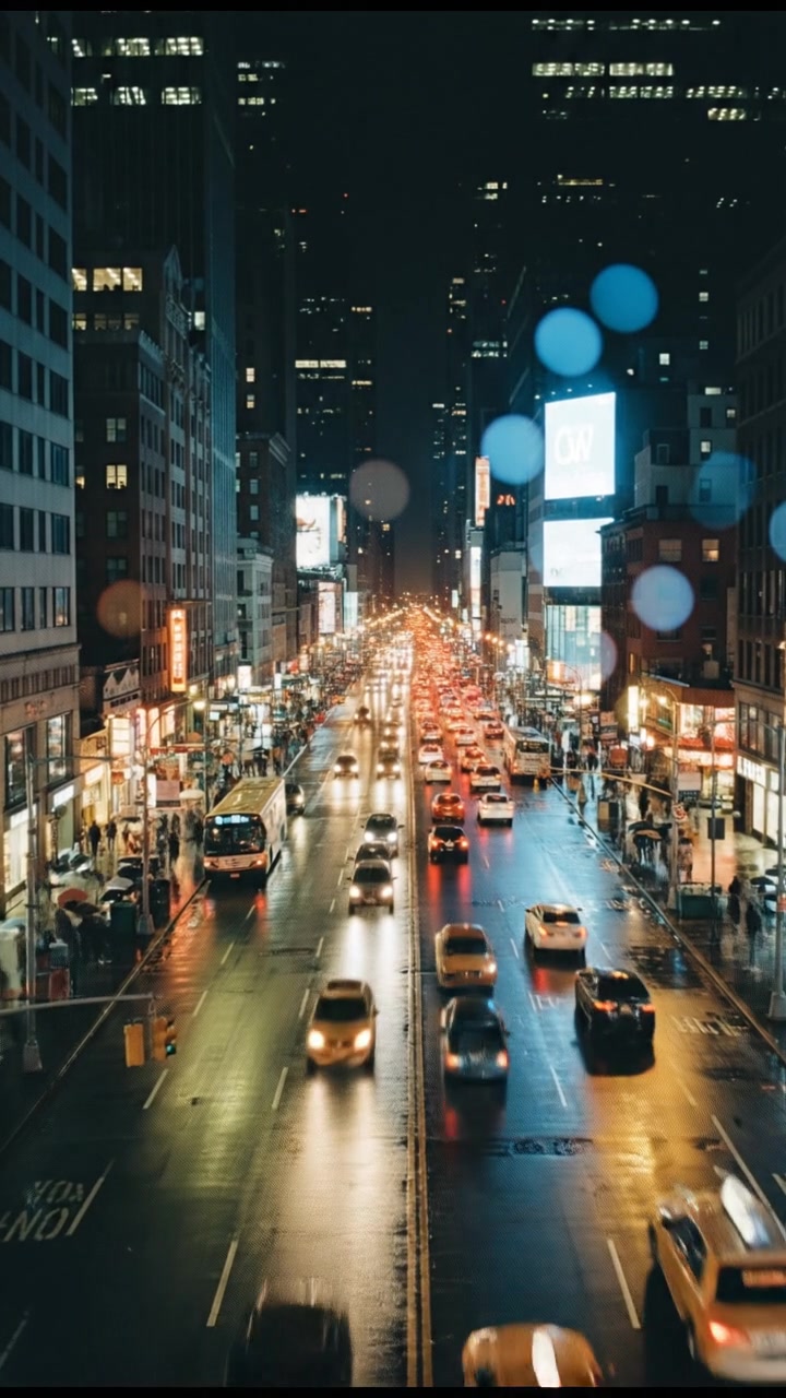 Cinta dan Harapan Bersama Bob