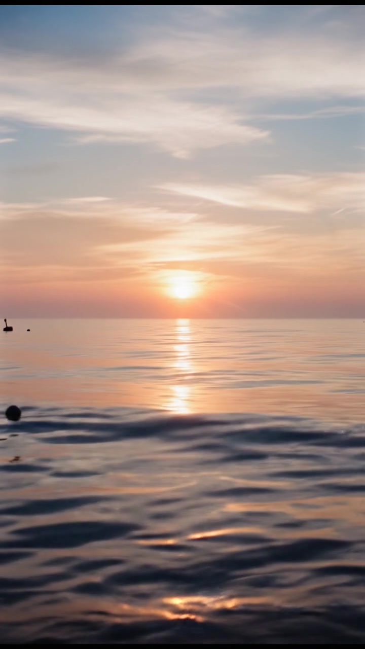 Embrace the Week Ahead