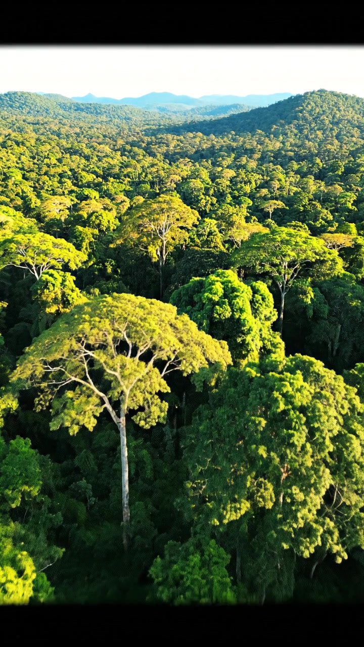 Fakta Menarik Sungai Amazon: Debit Air Terbesar di Dunia