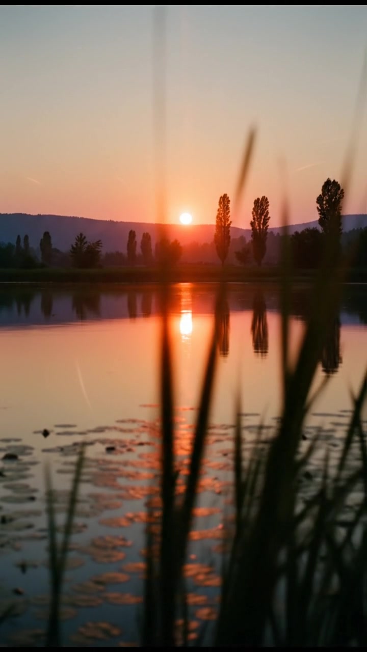 इन खतरनाक मेंढकों से दूर रहो!