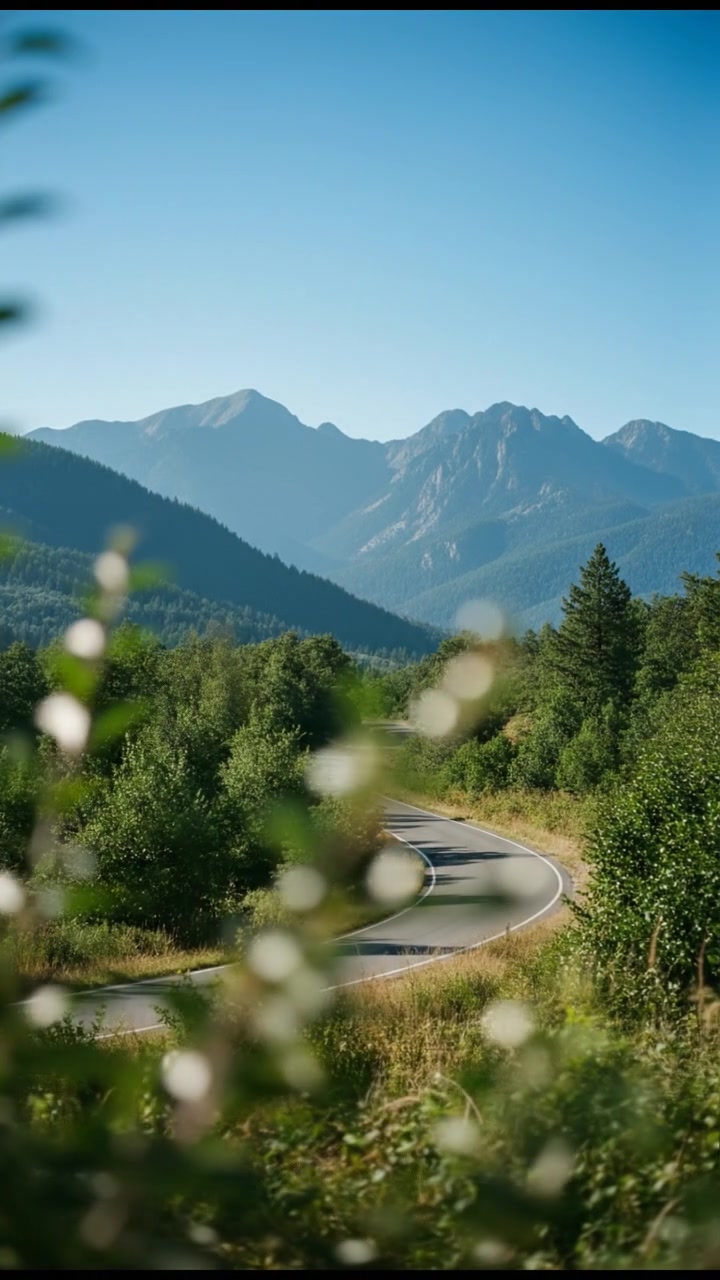 Growth Along the Journey