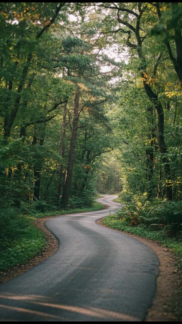 Hello from CEO of Boaz GRAFIX: Free 7-Day Graphic Design Training!