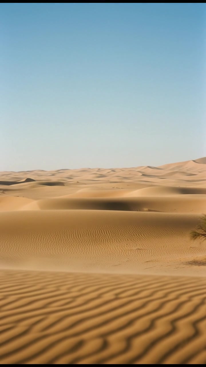 Ali Baba and the Forty Thieves