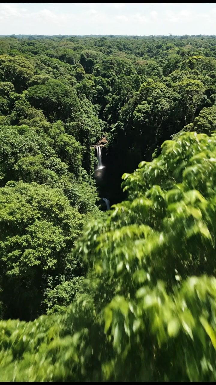 L'Histoire Méconnue du Brésil : Des Indigènes à l'Exploitation Européenne