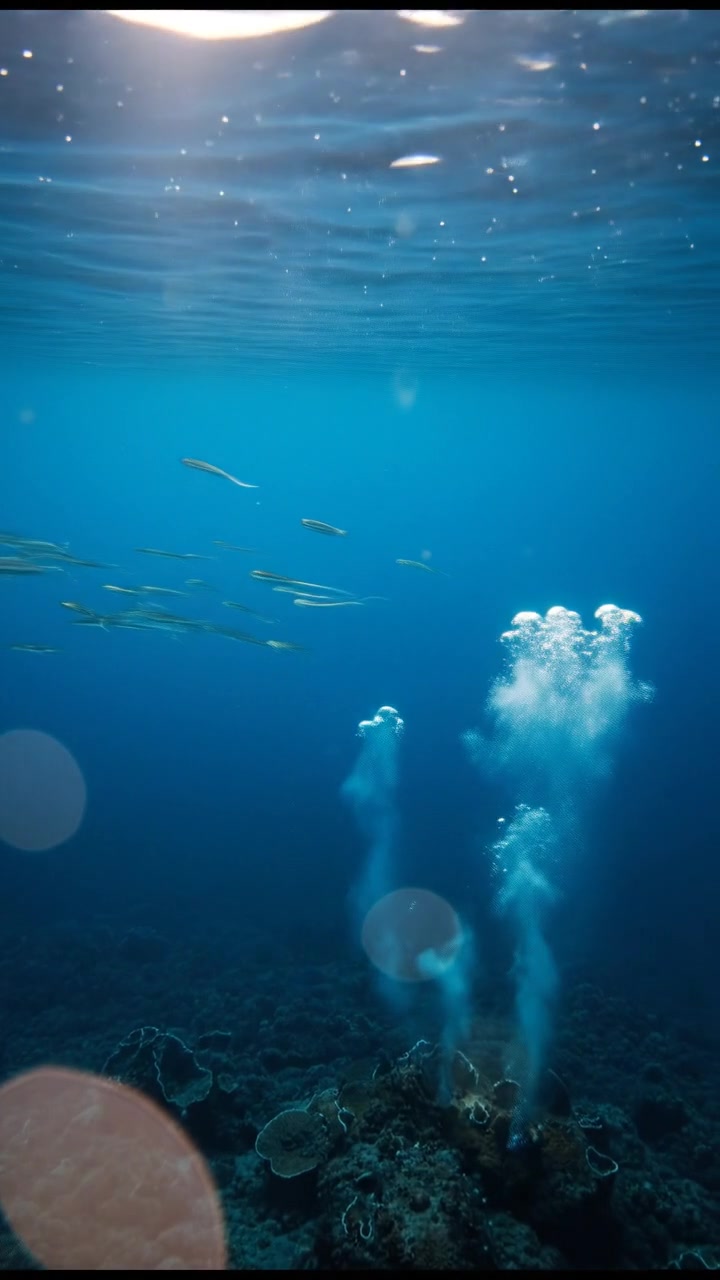 Sharks: The Ancient Guardians of Our Oceans