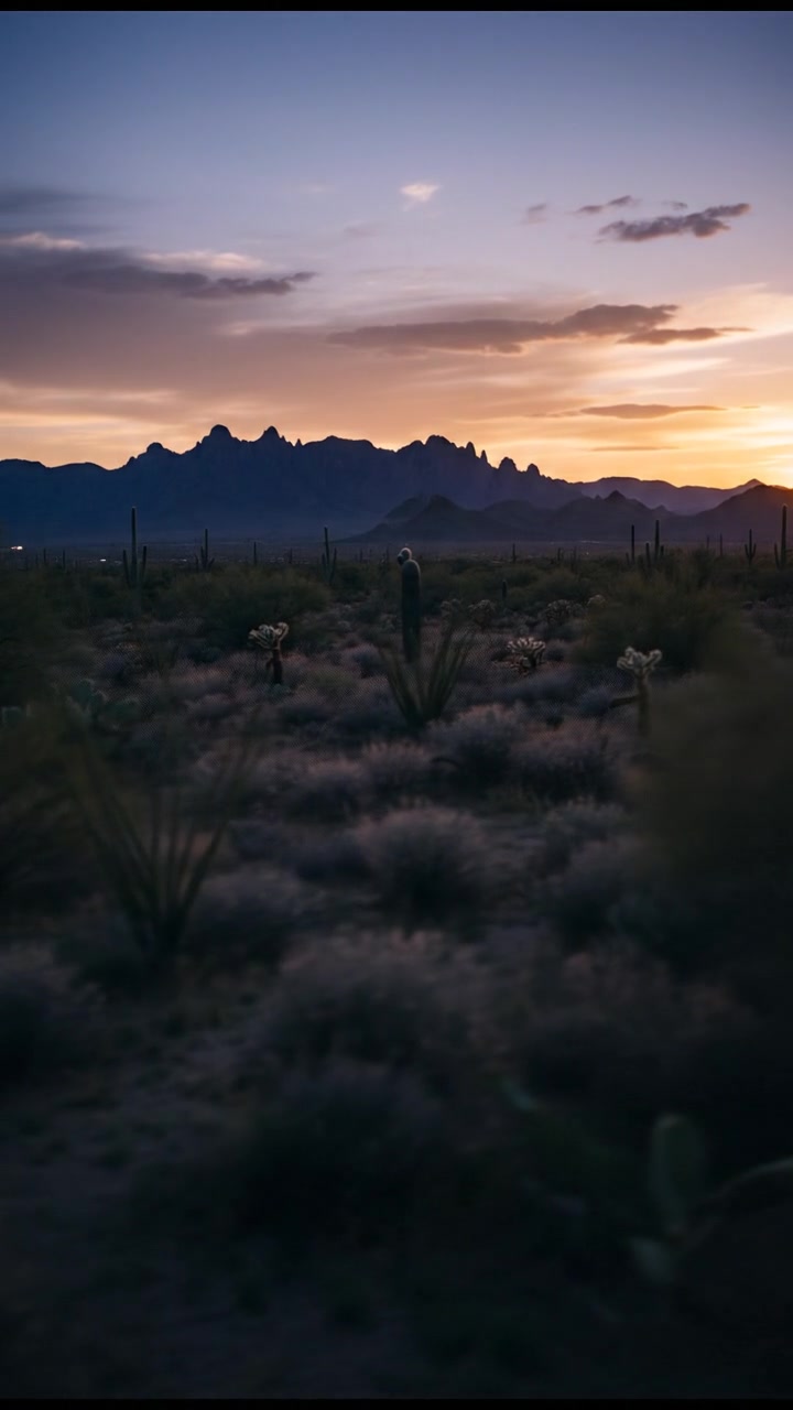 Kebaikan Ammar dan Berkah yang Tak Terduga