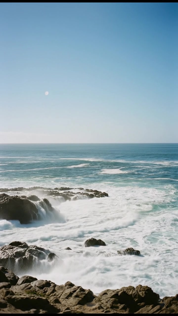 Guardians of the Deep: The Fin Whale's Struggle and Our Role in Their Future