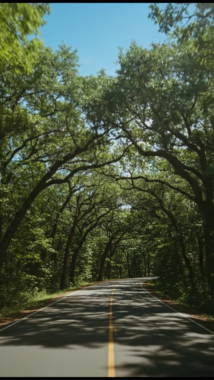 Eksplorasi Anatomic: Proses Pendengaran Dalam Telinga Manusia