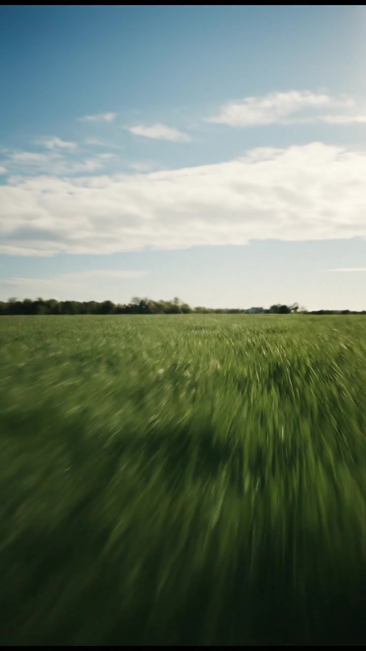 सरकारी रिपोर्ट: अज्ञात और शक्तिशाली कारण से मौत