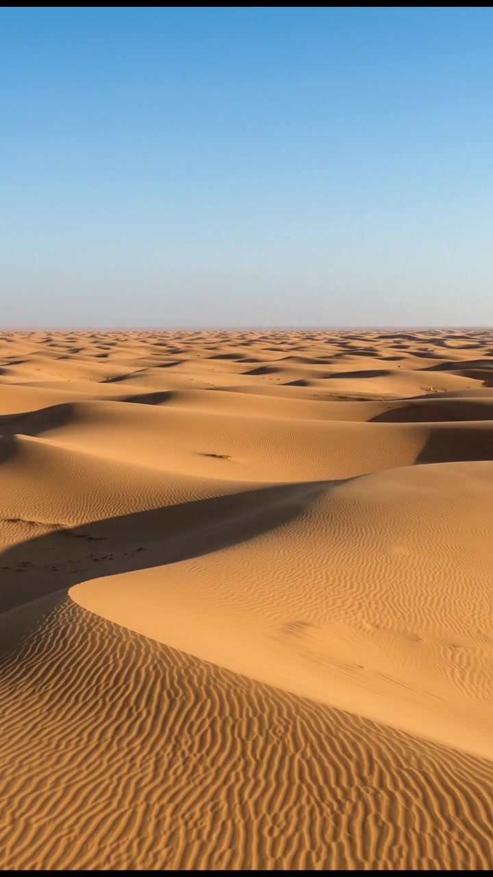 The Journey of Melkizedeki