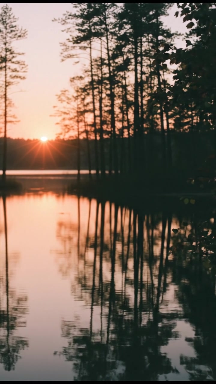 ज़िंदगी के नए रास्ते: पहला कदम उठाएं