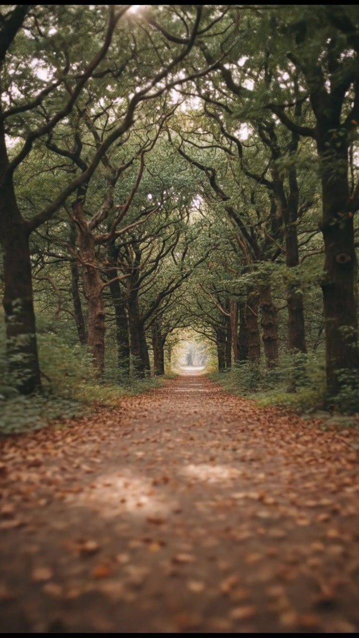 Kekuatan Disiplin dalam Perjuangan