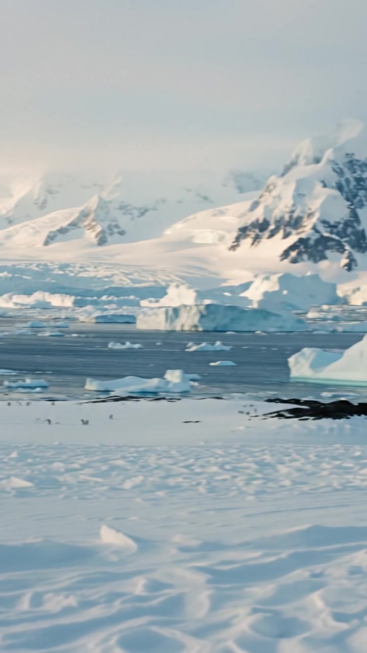 The Penguin's Death March